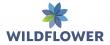 Wildflower Health Names Curio Healthcare Its Preferred Mental Health Partner