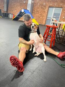 Winston-Salem, NC Dog Training Photo