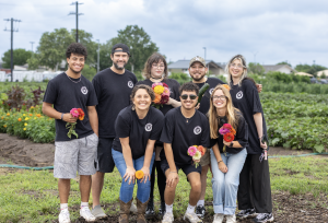 Embark Marketing