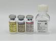 Enhance Quality Control with BETMAT’s Kinetic Chromogenic LAL Reagent for Quantitative BET Applications