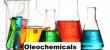 Oleochemicals Market Driven by Growing Demand for Sustainable Personal Care and Cosmetic Products