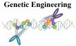 Genetic Engineering Market to reach USD 20.57 Bn by 2032, at a CAGR of 20.9%.