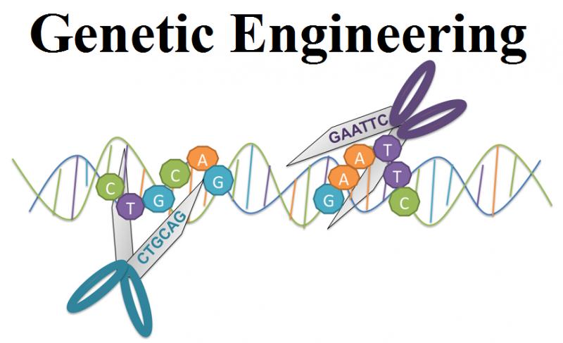 Genetic Engineering Market to reach USD 20.57 Bn by 2032, at a CAGR of 20.9%.