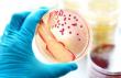 Molecular Biology Enzymes, Reagents and Kits Market is to reach USD 50.25 Billion by 2032.