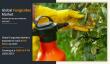 Fungicides Market is Expected to Record the Massive Growth by 2027