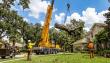McCullough Tree Service Raises the Bar for Tree Removal Service in Sanford, FL