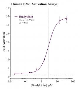 B2R, Activation Assay