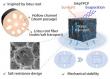 A porous polymer design tackles salt buildup in solar desalination