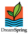 DreamSpring Names Charles McElrath as Incoming Chief Executive Officer