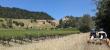 Russian River Railbikes Offers Unique Father’s Day Weekend Experience in Sonoma County