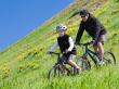 Venustas Highlights Growing Interest in Functional Heated Apparel Ahead of 2026 Father’s Day Season