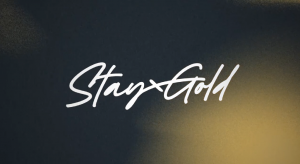 “Names can trap you into a version of yourself you left behind years ago StayGold logo is a handwritten typography with a textured background of blotted navy and gold tones.