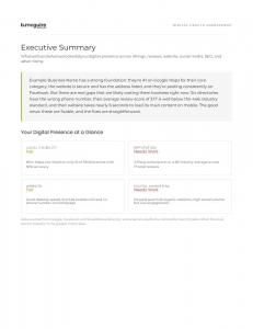 B. McGuire Marketing Digital Health Analysis report executive summary image