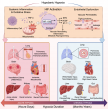 New Framework Aims to Transform High-Altitude Medicine Through Whole-Body Approach to Hypoxia