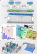L2-CPI: High-Resolution Computational Phase Imaging with an Arbitrary Field of View