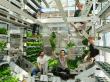 Canopii Built a Greenhouse for the Community. Now the Community Can Own a Piece of It