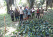 Wise Ancestors Launches Indigenous-Led Conservation Crowdfund in Africa for Bosenge Tree, Vital for Edible Caterpillars