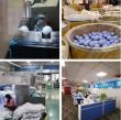 YIHONG：China Golf Ball Manufacturer for OEM & ODM