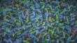  Gut Bacteria Linked to Osteoporosis Risk in Primary Hyperparathyroidism