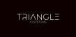 Triangle AI Systems Launches Revenue Infrastructure Platform for Home Service Businesses in Tri-State Area