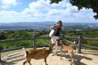 Nara Launches Daily direct Scenic bus to Wakakusa Hilltop for international visitors