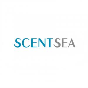 SHENZHEN, China,June 15, 2026 – The global scent diffuser market continues to expand, driven by hospitality, retail, and commercial real estate sectors seeking ambient fragrance solutions
