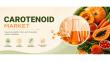Carotenoid Market to Reach US$6.2 Bn by 2033 Driven by Nutraceutical Demand