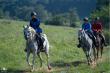 Arabian Horse Association Announces Return of Distance Nationals Championship in  Menahga, Minnesota
