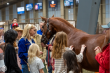 Arabian Horse Association Celebrates 60 Years of the U.S. National Arabian & Half-Arabian  Championship Horse Show