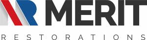 Merit Logo