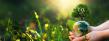 How Vacuum Shapes Carbon Capture 