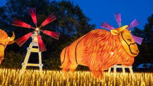 Bison and windmill lanterns at Wanderlight Trail