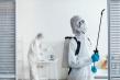 Bug Buster Gold Coast Expands Professional Pest and Termite Control Services Across the Gold Coast