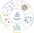A targeted vaccination strategy: Integrating vaccines into biosafety, biosecurity, and one health initiatives