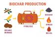 Biochar Market to Reach $587.7 Million by 2030, Driven by Rising Agricultural Applications and Animal Feed Demand