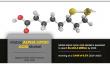 Alpha Lipoic Acid Market Growth Fueled by Expanding Pharmaceutical and Nutraceutical Applications