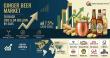 Ginger Beer Market to Hit US$ 9.04 Billion by 2035 at 7.5% CAGR, Fueled by Premium Mixology and Health Trends