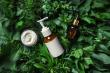 Natural and Organic Cosmetics Market Driven by Sustainable Beauty Trends, Growing at 9.49% CAGR Through 2035