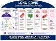 New Long COVID Framework Challenges the Search for One Single Cause