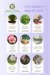 Garden Media Group Shares Ten Gift Ideas for Father’s Day- No Assembly Required