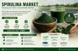 Spirulina Market Forecast to Reach USD 1.62 Billion by 2035 Amid Rising Demand for Sustainable and Plant-Based Nutrition