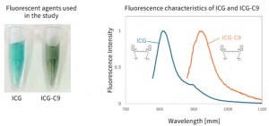 [Fig. 2] Differences in Fluorescence Characteristics between ICG and ICG-C9