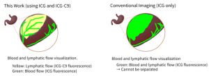 [Fig. 4] Comparison of the Multi-Fluorescence Imaging Camera (This work) with Conventional Imaging (illustration)