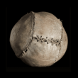 Coral Gables Museum Presents Exhibition Exploring Soccer and Diplomacy Across Continents