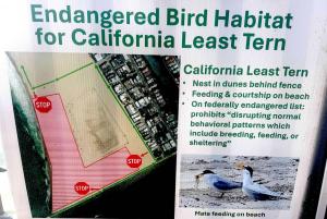 Signs near where fireworks are set to go off warn of need to protect Endangered Bird Habitat