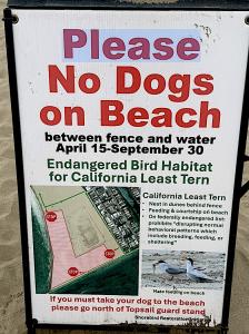 Concerned citizens say fireworks pose a greater threat to endangered wildlife.