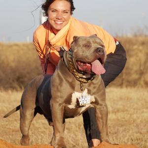 XL American Bully Dog from ManMade Kennels