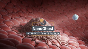 Nanoghost particle aproaching a tumor