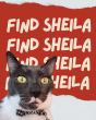 Katharine Towne Seeks Answers About Adoption of Emotional Support Cat Sheila 