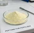 HUAXUAN丨Best Peptone for Fertilizer: Enhancing Nutrient Absorption in Plants